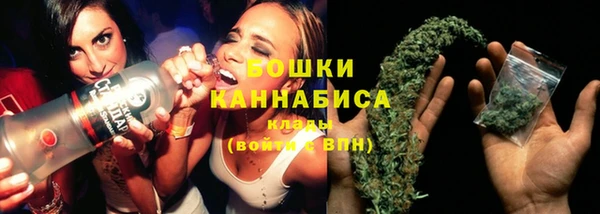 мдпв Няндома