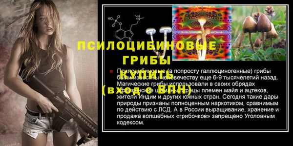 соль ск Горнозаводск
