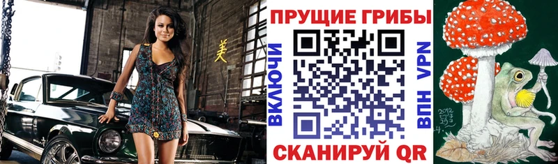 Псилоцибиновые грибы ЛСД  KRAKEN   сайты даркнета клад  Макаров 