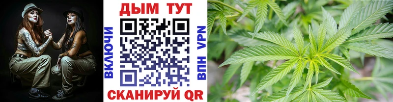 даркнет сайт  Макаров  Канабис сатива 